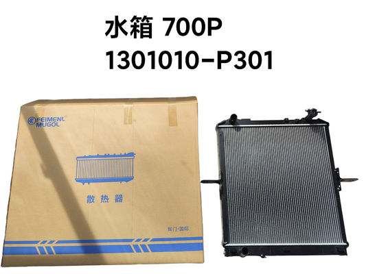 L'assemblage du radiateur de Feimenl Mugol ISUZU NPR NQR 4HK1,1301010-P301